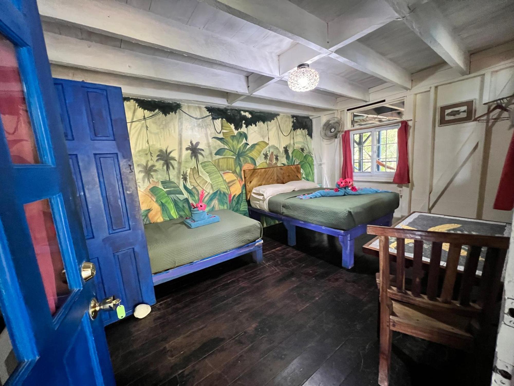 Tesoro Escondido Ecolodge Cabinas 보카스 타운 객실 사진