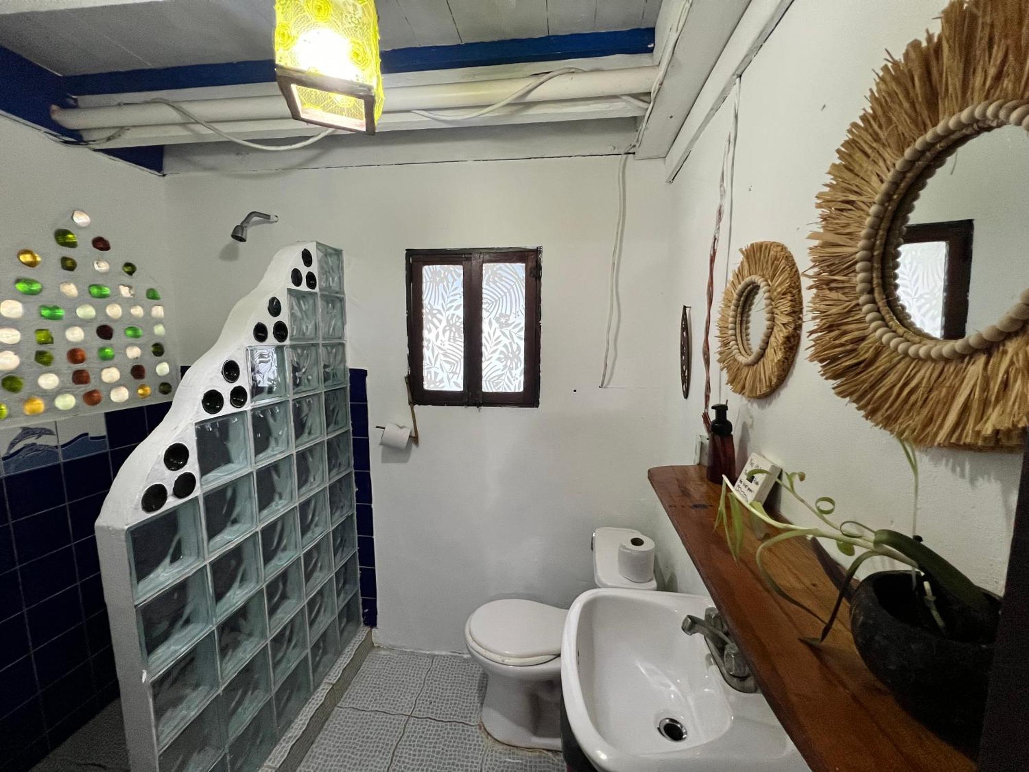 Tesoro Escondido Ecolodge Cabinas 보카스 타운 객실 사진