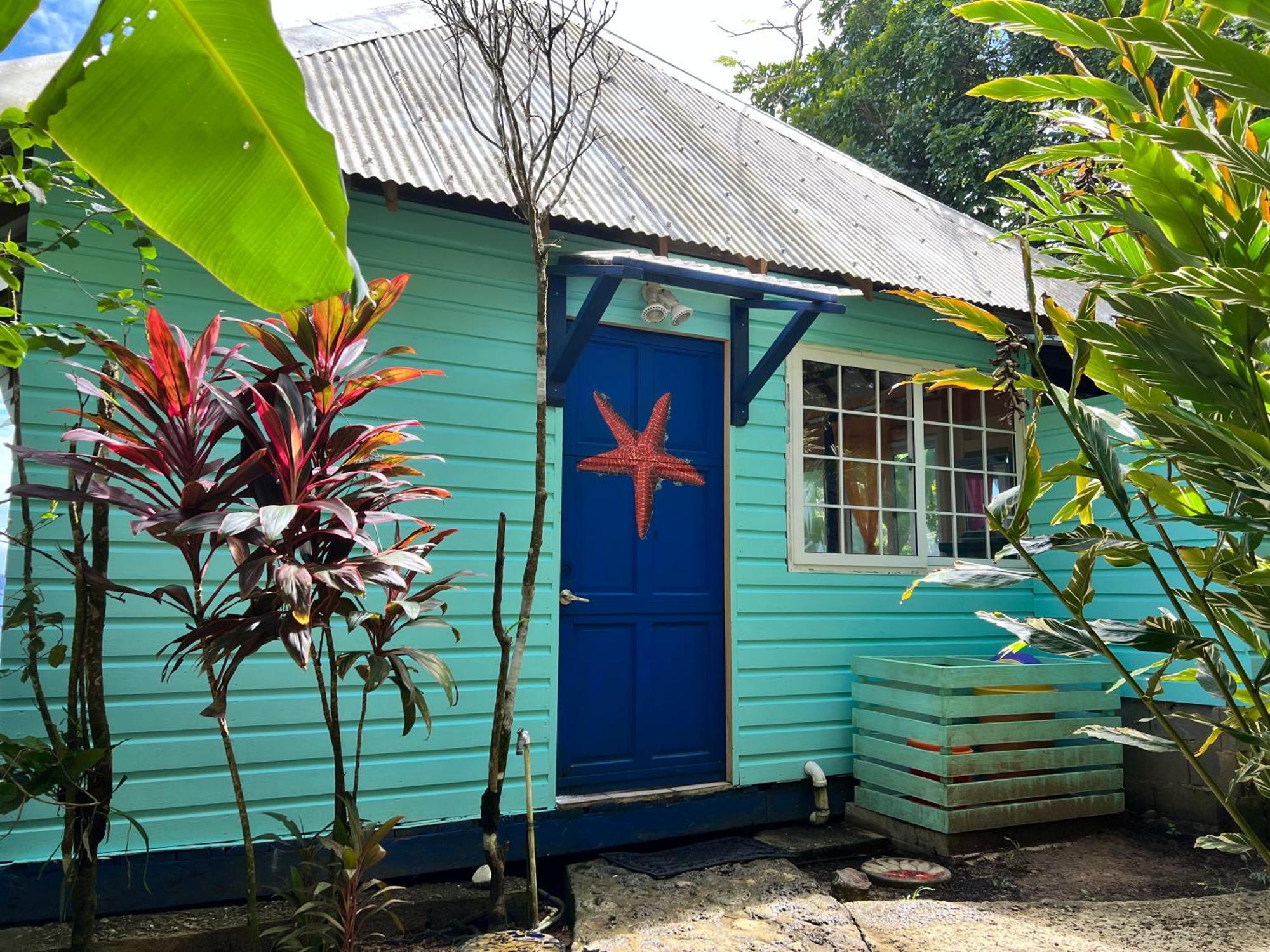 Tesoro Escondido Ecolodge Cabinas 보카스 타운 객실 사진